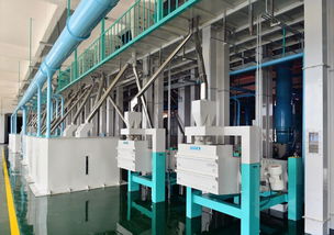 東方集團現(xiàn)代農(nóng)業(yè)板塊加速新米生產(chǎn)，東方糧倉方正園區(qū)全力沖刺旺季